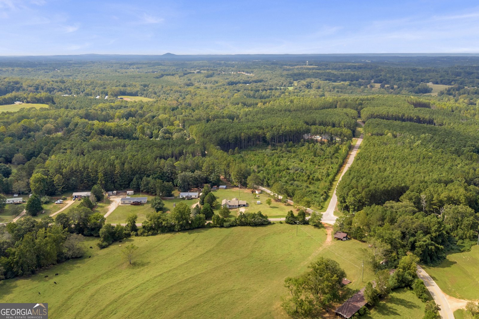 2945 Pleasant Hill Road Martin - 39