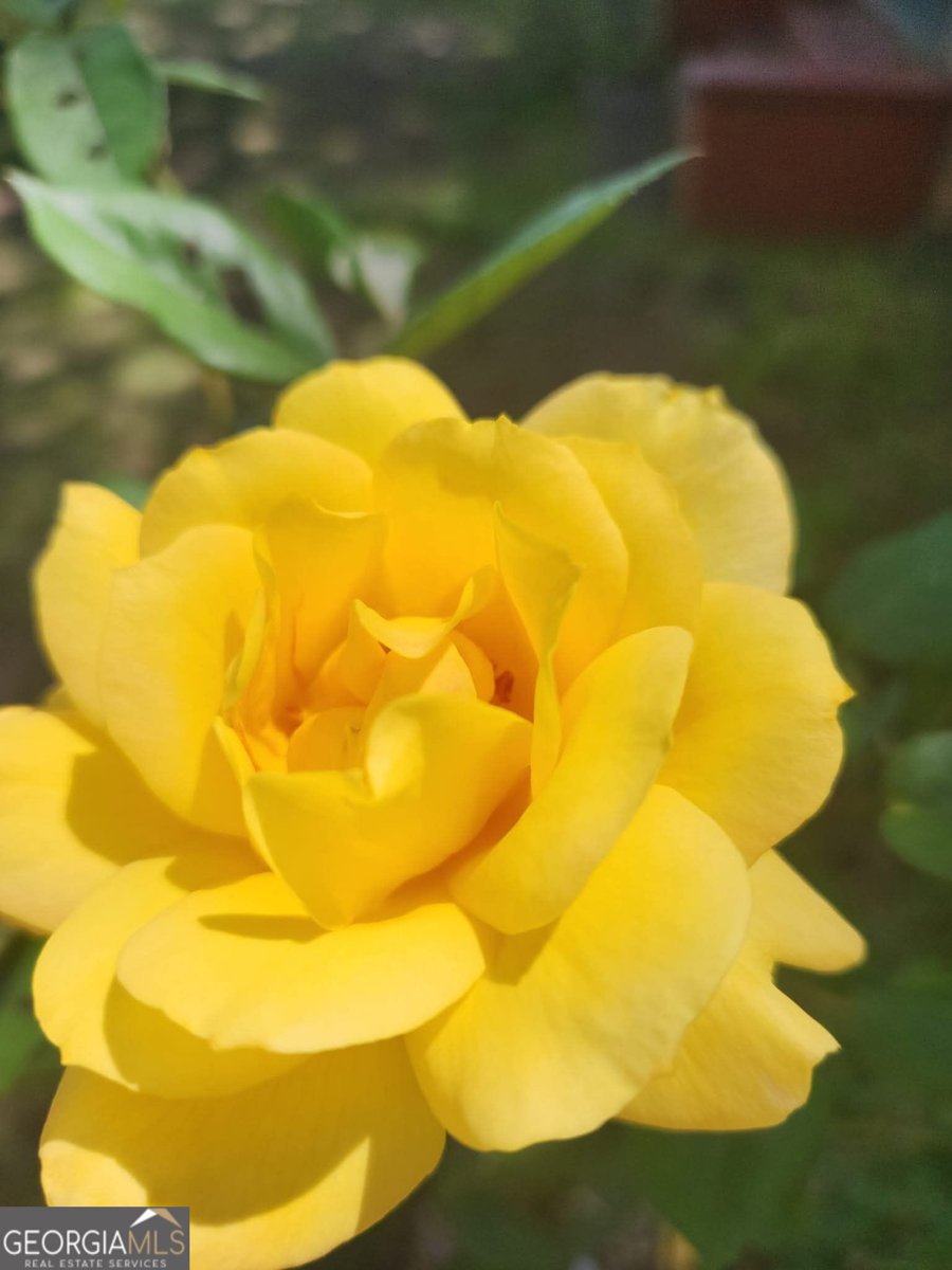 285 Main Street Forsyth - 32