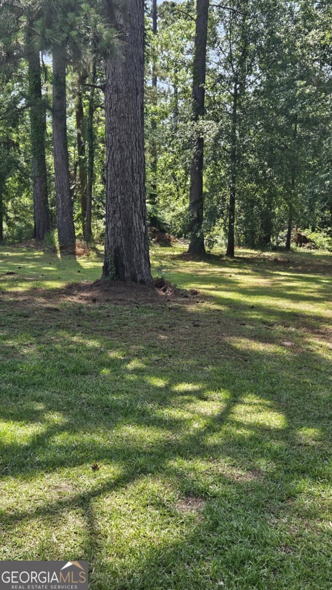 512 Colquitt Lane Statesboro - 5