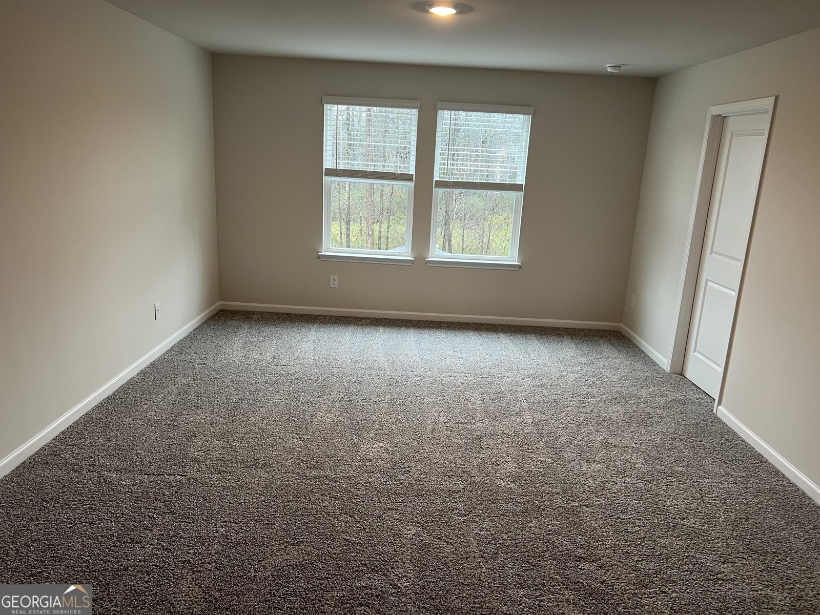 6016 Hickory Creek Court Braselton - 21