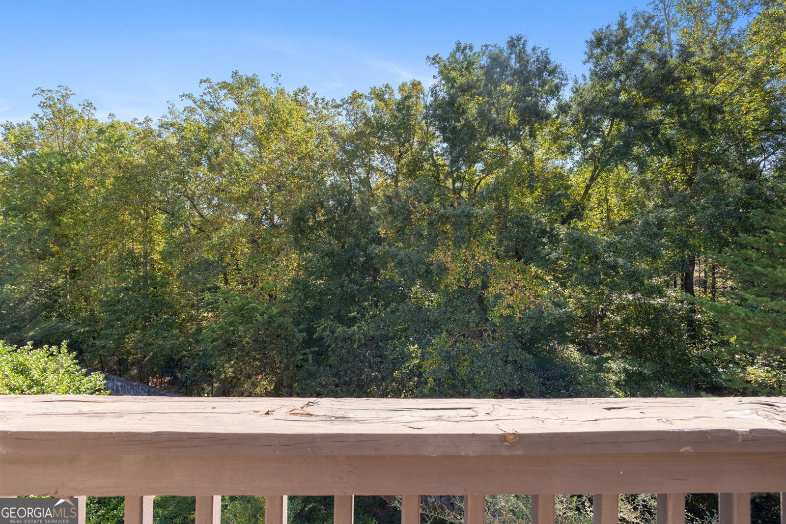 4289 Laurel Creek Court Smyrna - 52