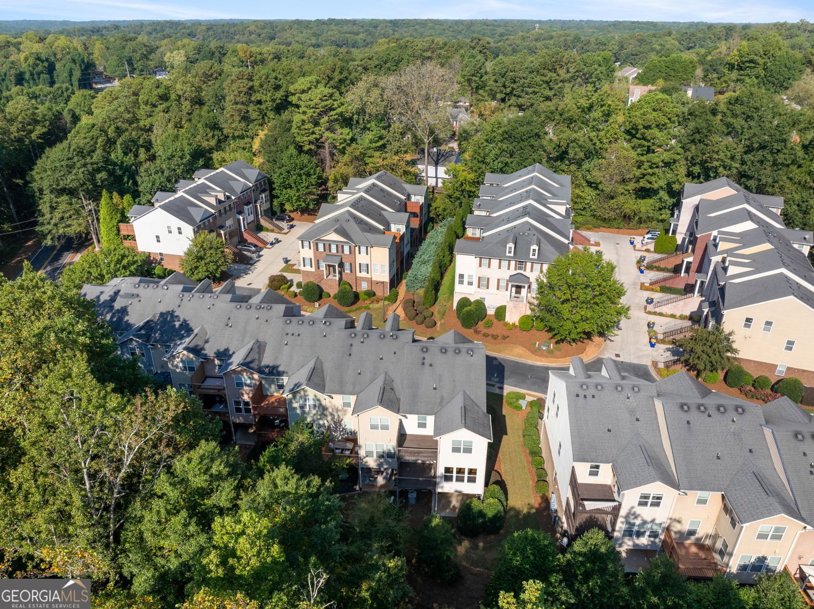 4289 Laurel Creek Court Smyrna - 62