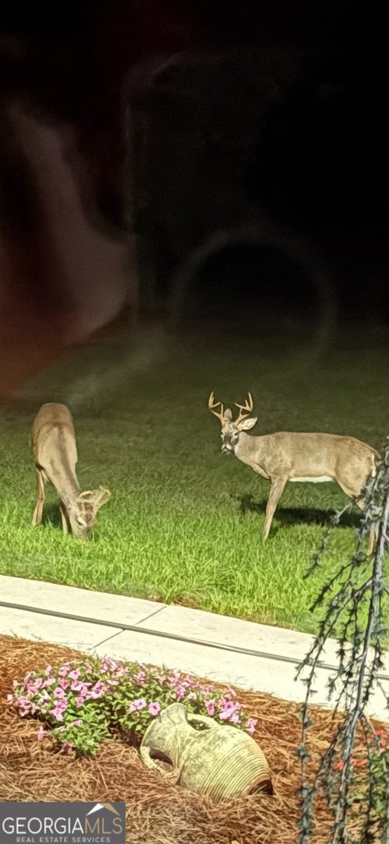 5187 Parkview Drive Social Circle - 81