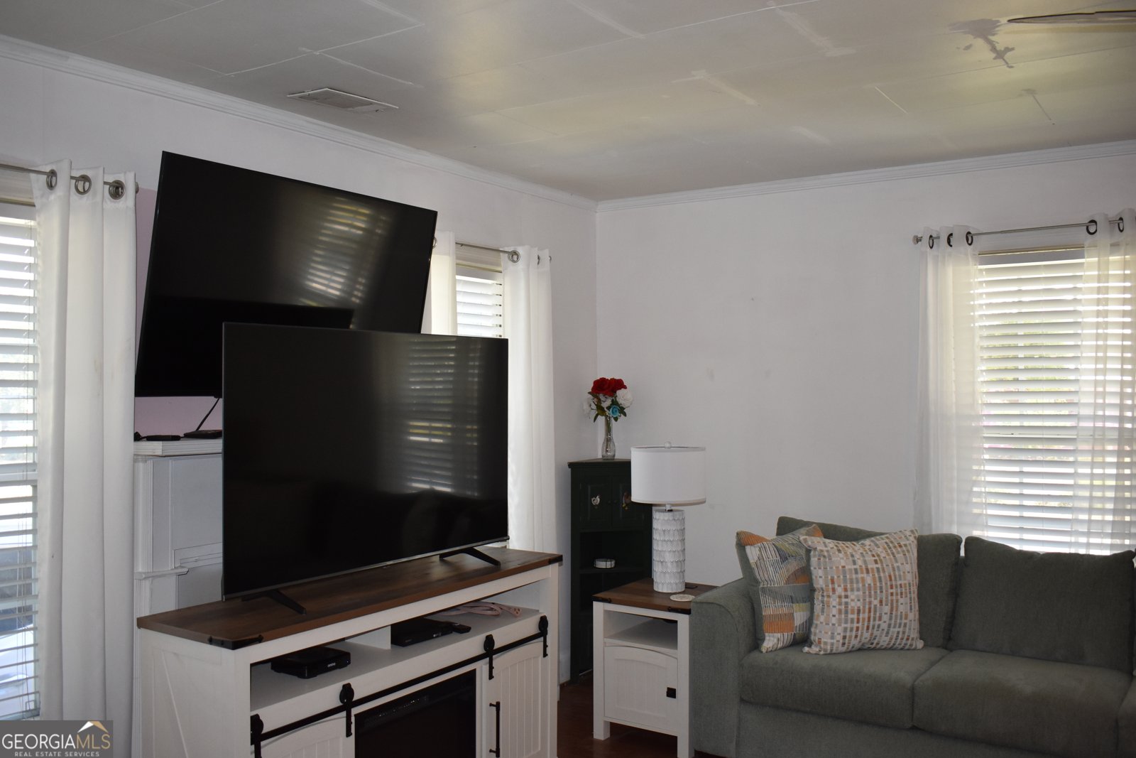 250 Lewis Street Metter - 7