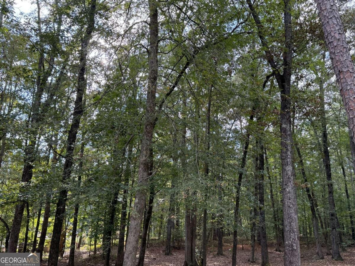 125 Cannongate Circle Sharpsburg - 26