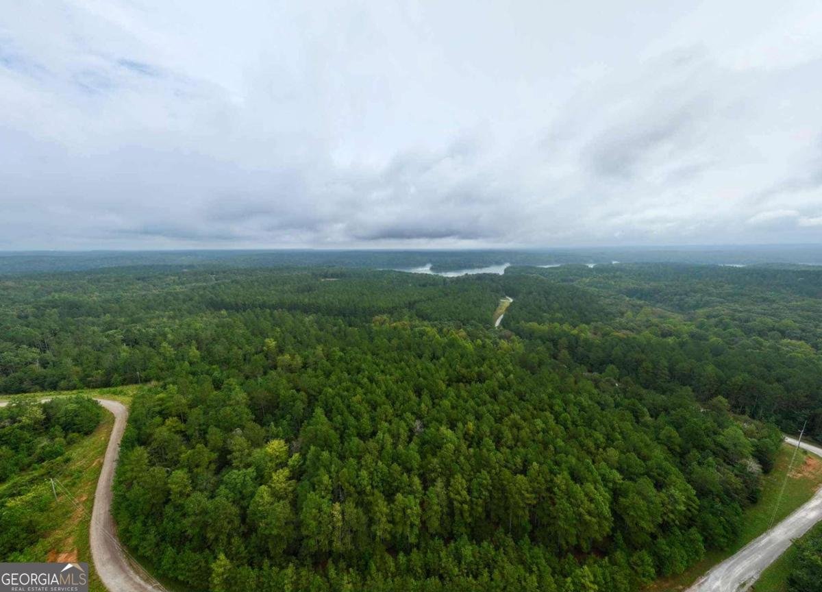 0 Jacks Hat Road Elberton - 10