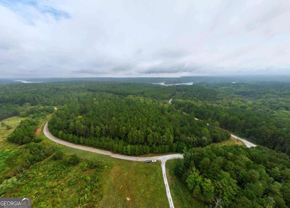 0 Jacks Hat Road Elberton - 4