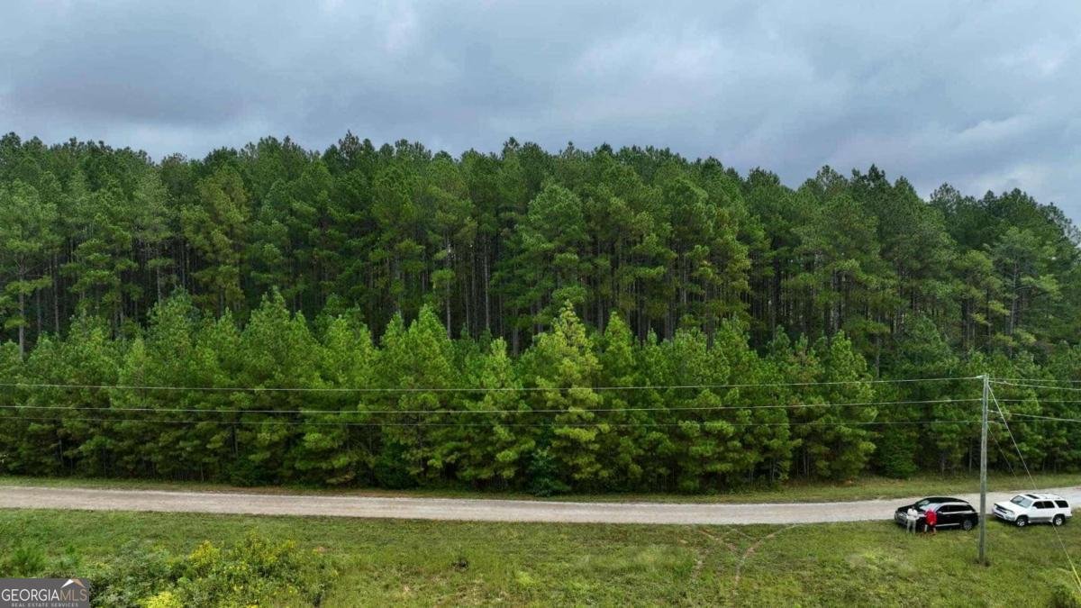 0 Jacks Hat Road Elberton - 5