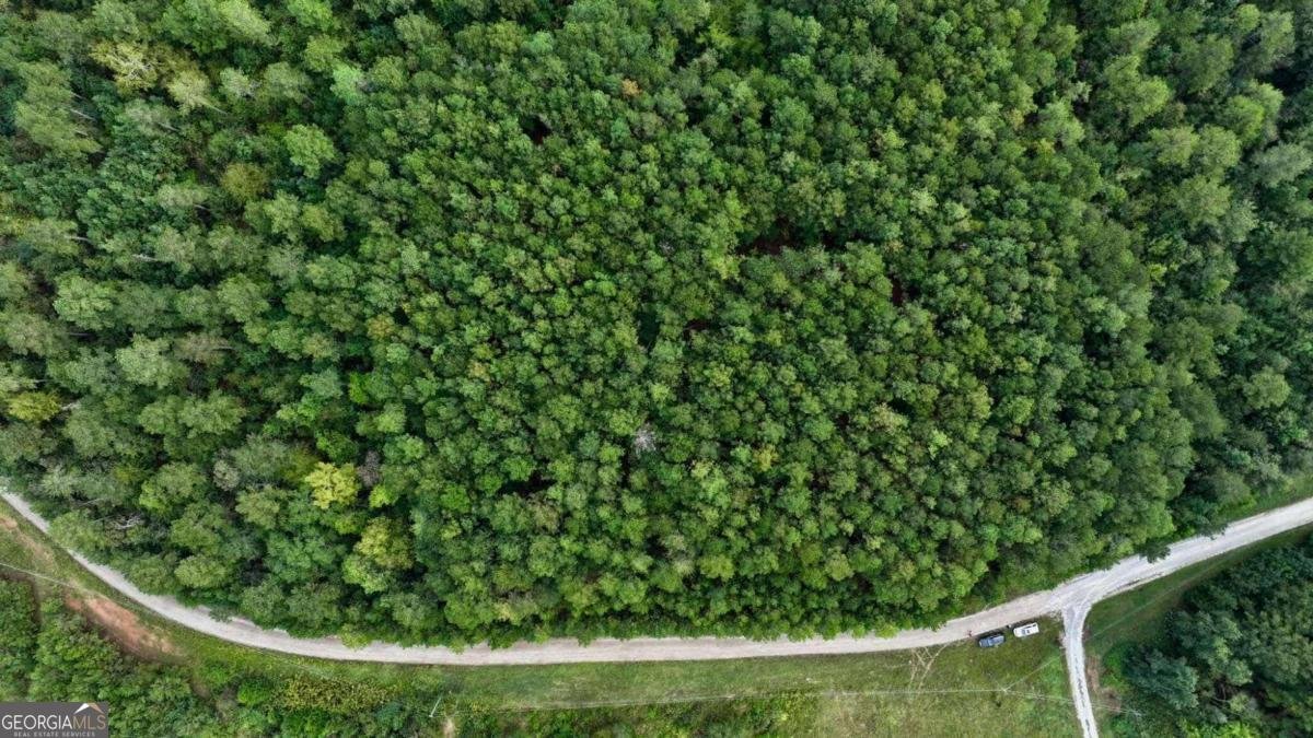 0 Jacks Hat Road Elberton - 6