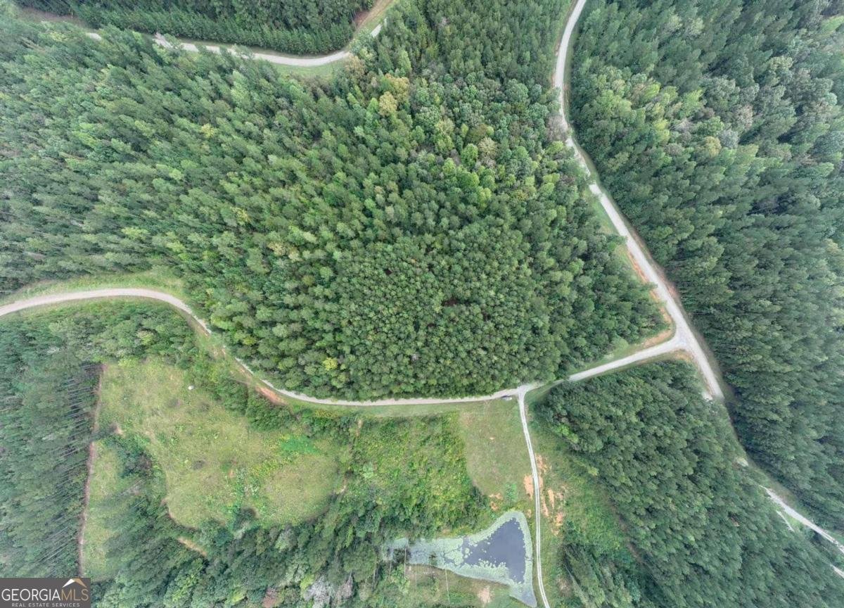 0 Jacks Hat Road Elberton - 7