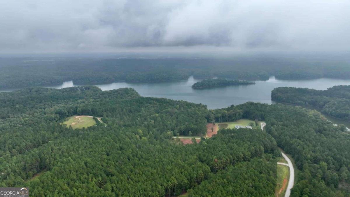 0 Jacks Hat Road Elberton - 8