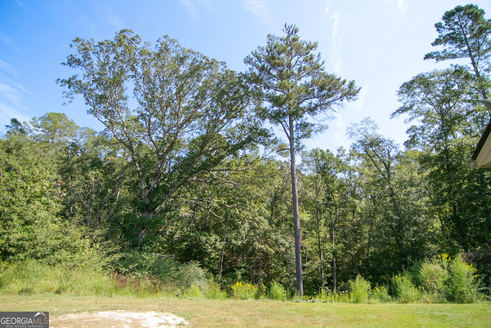 4282 South Hwy 29 Moreland - 60