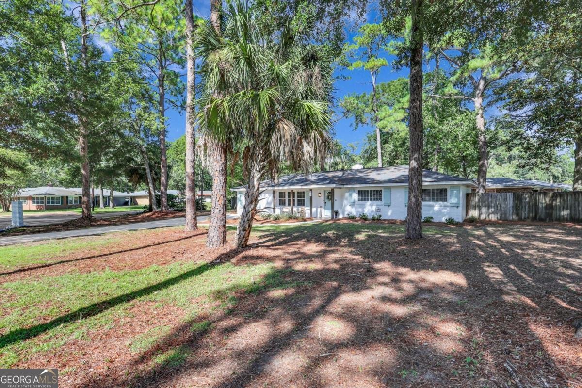 111 Carlton Road Savannah - 15