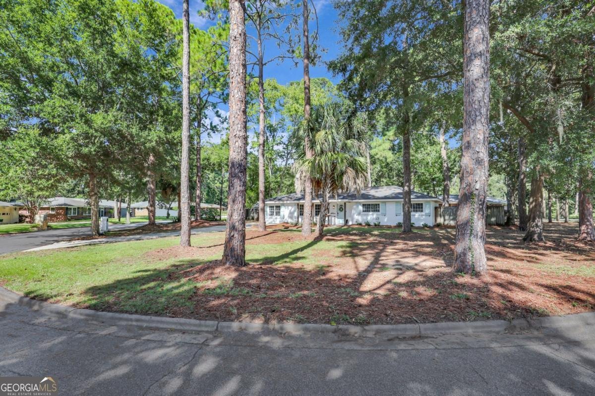 111 Carlton Road Savannah - 16
