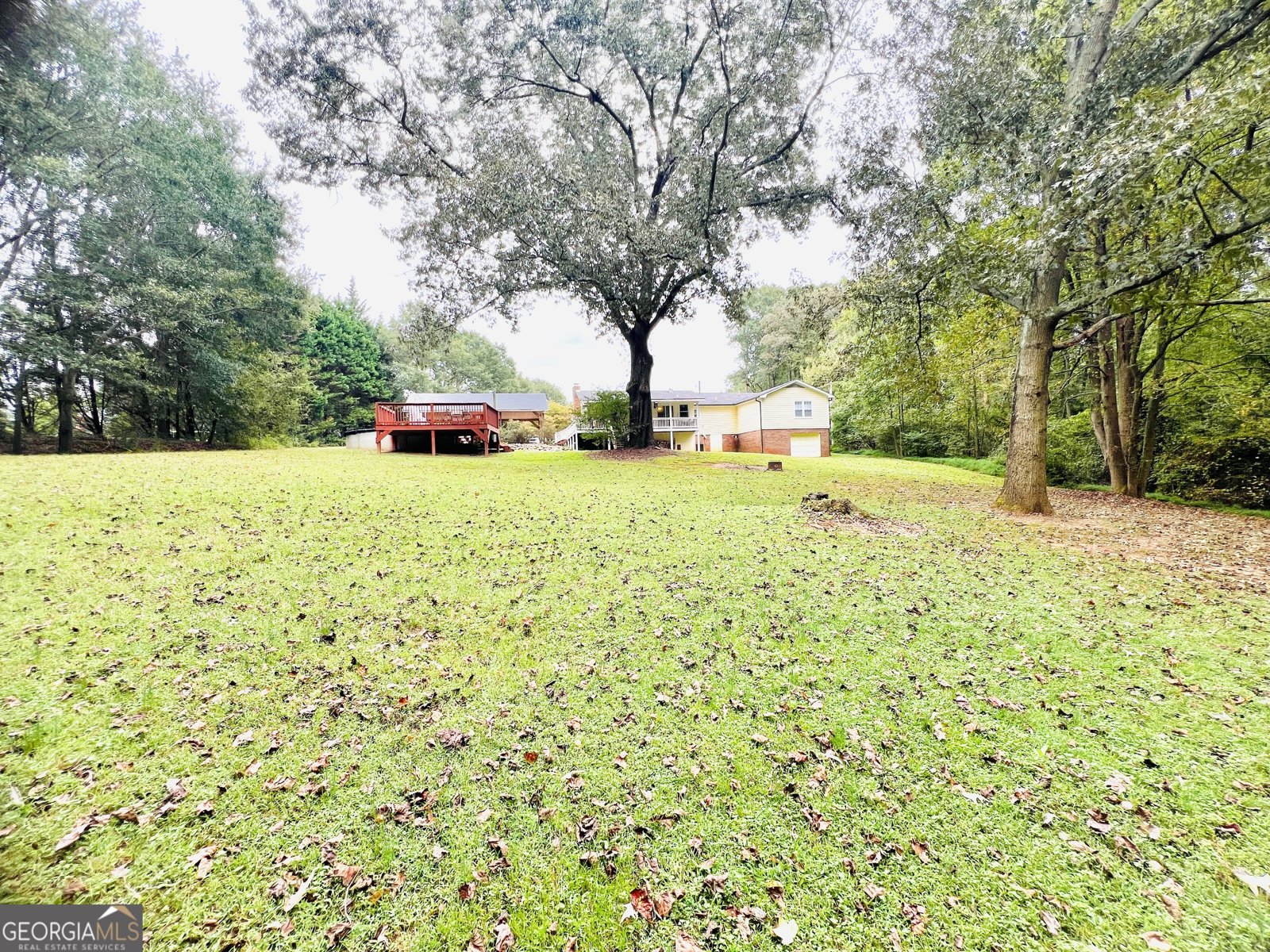 1338 Will Bailey Road Hartwell - 13