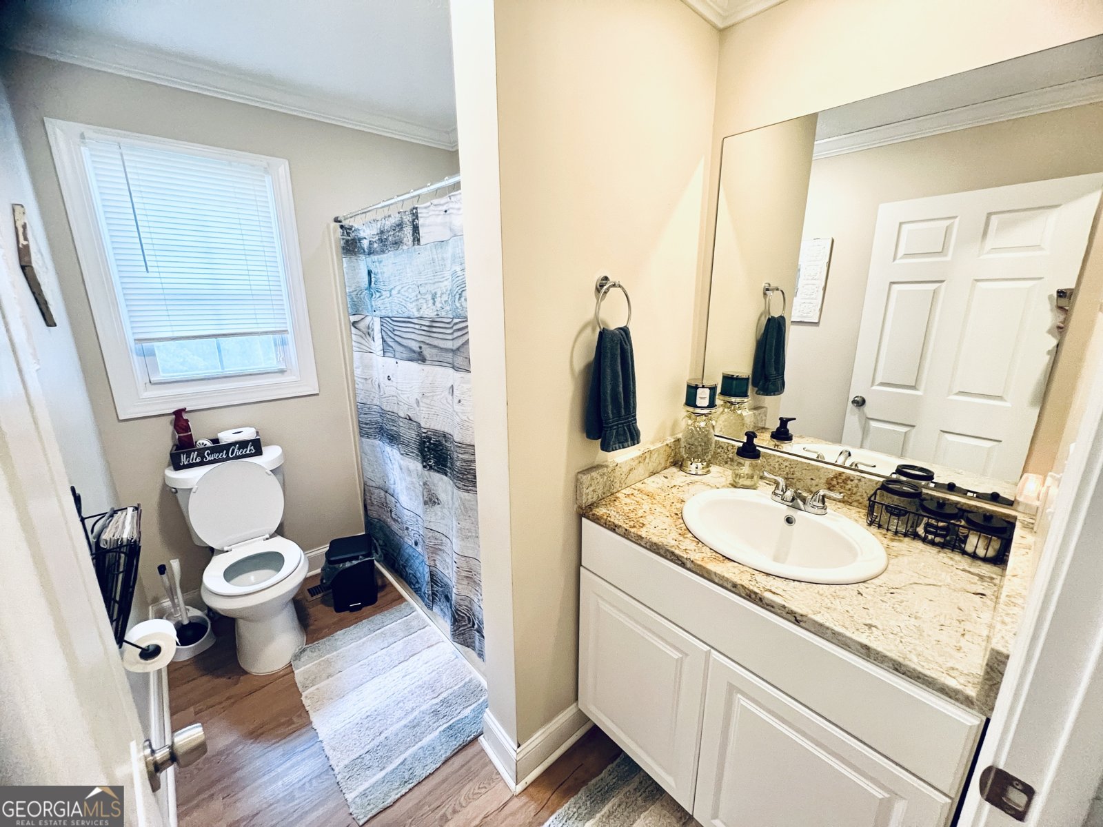 1338 Will Bailey Road Hartwell - 23