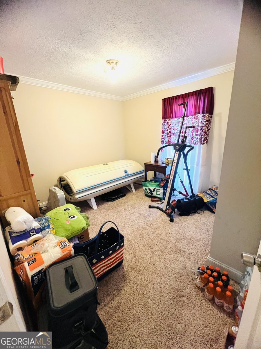 1338 Will Bailey Road Hartwell - 25