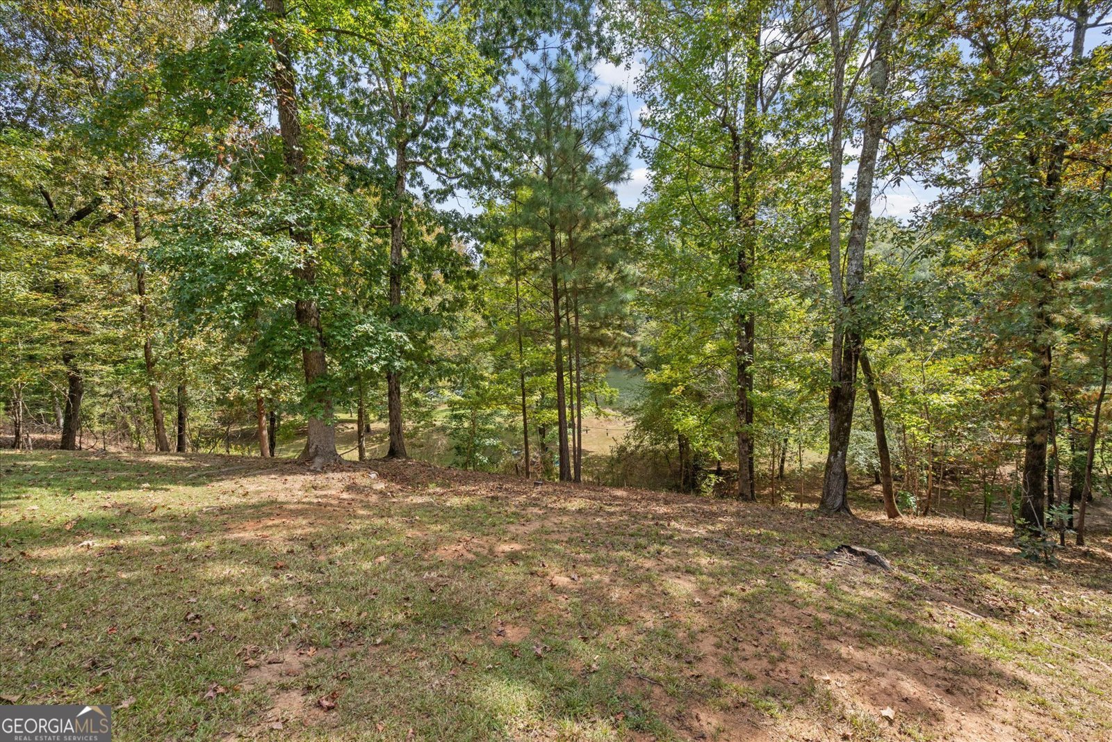 14456 COUNTY ROAD 62 WADLEY - 43