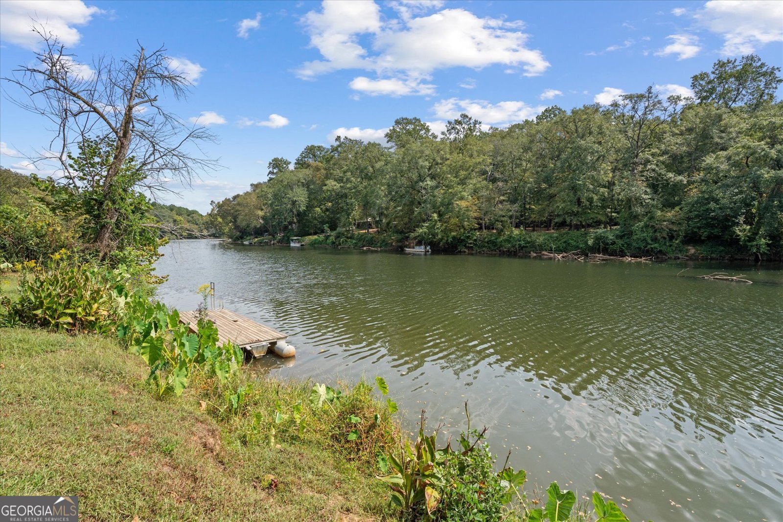 14456 COUNTY ROAD 62 WADLEY - 50