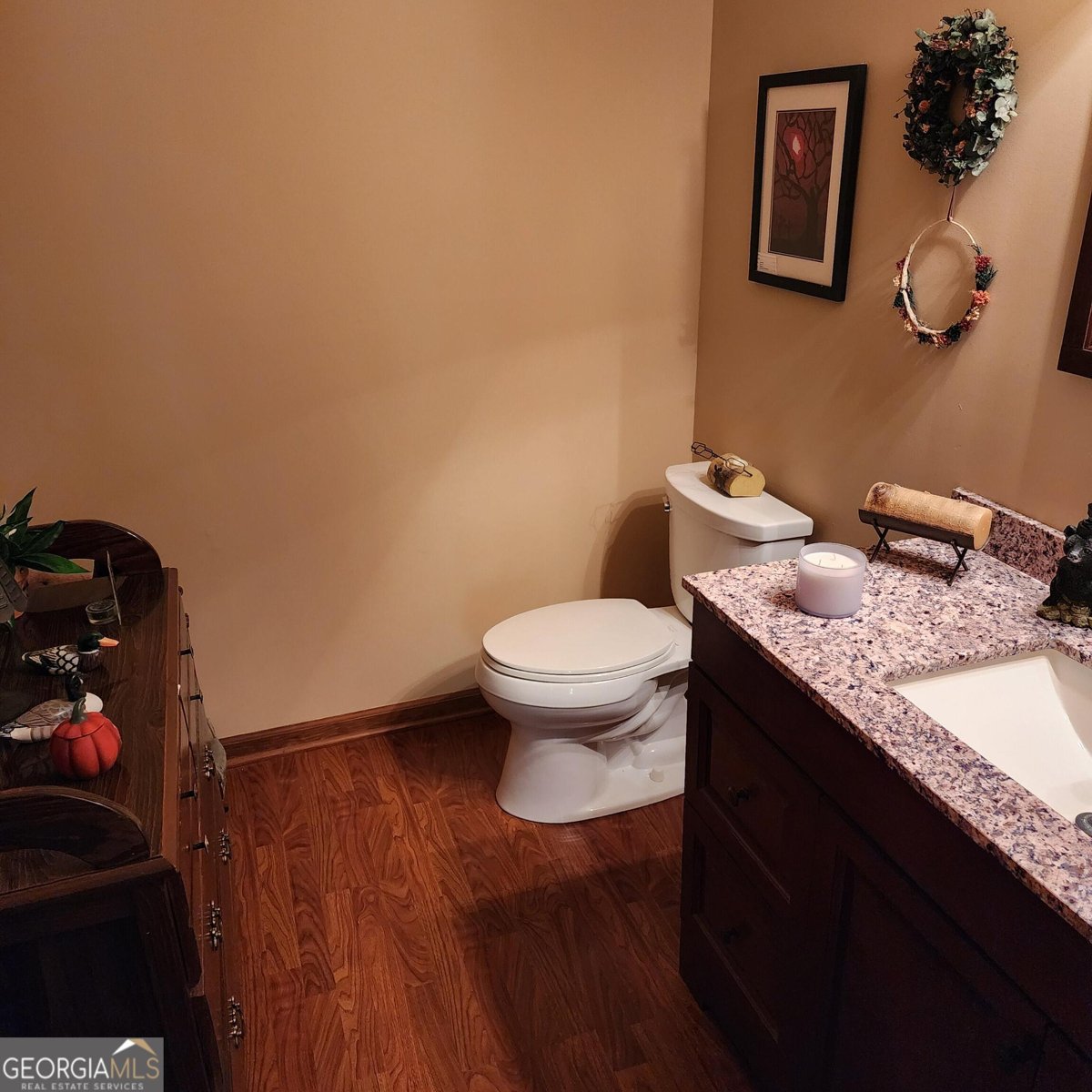 11675 Highland Colony Drive Roswell - 17