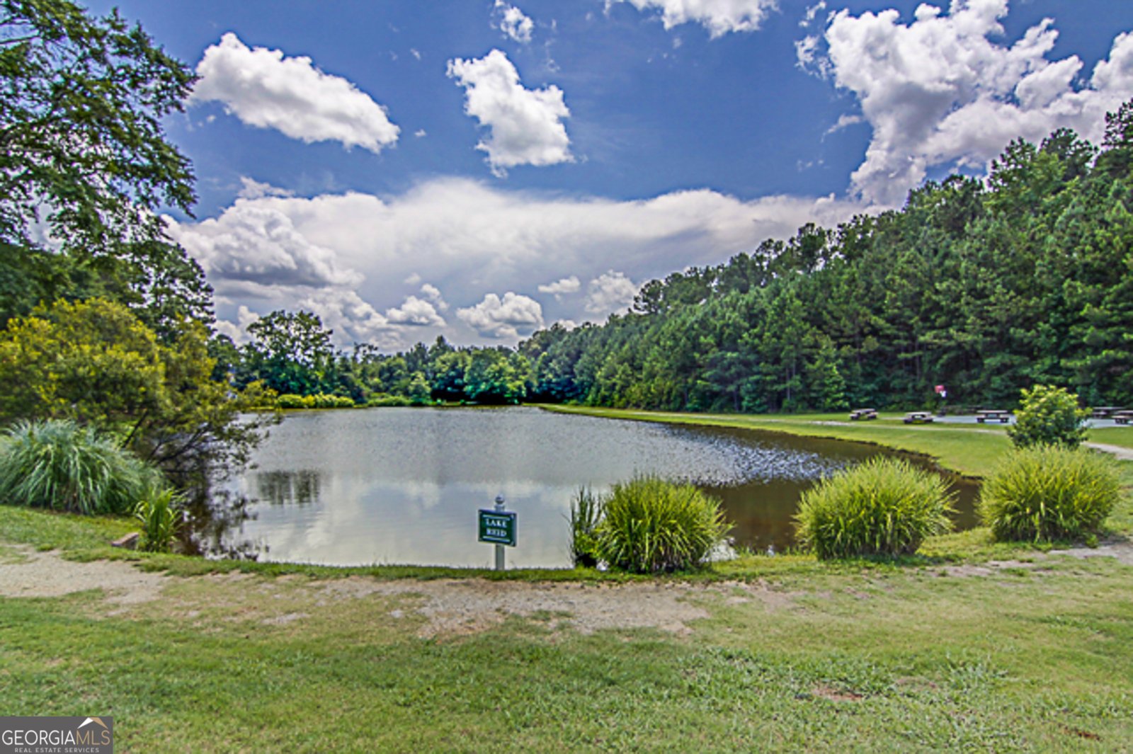 12350 Riviera Drive Fayetteville - 14