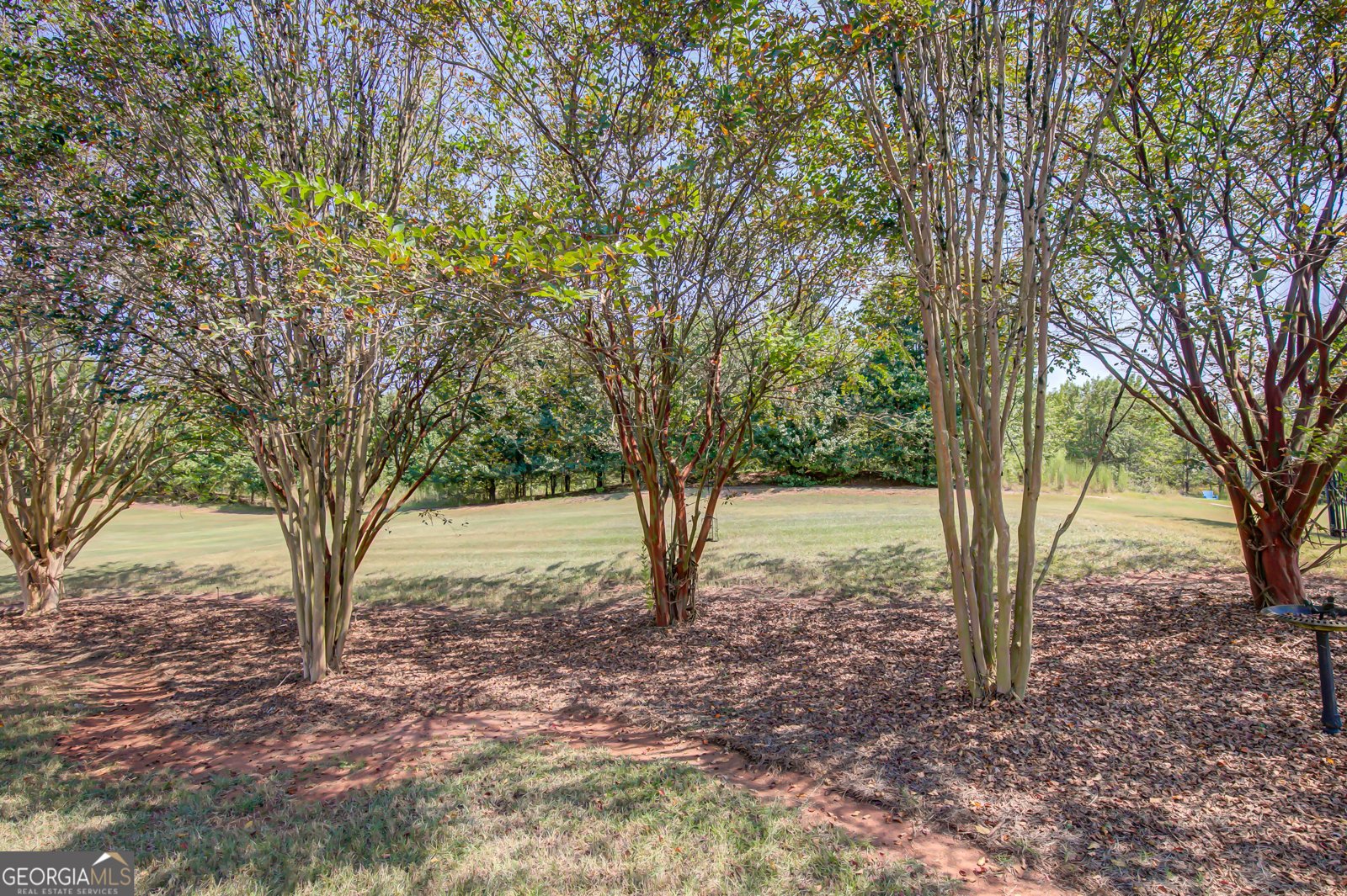 12350 Riviera Drive Fayetteville - 4