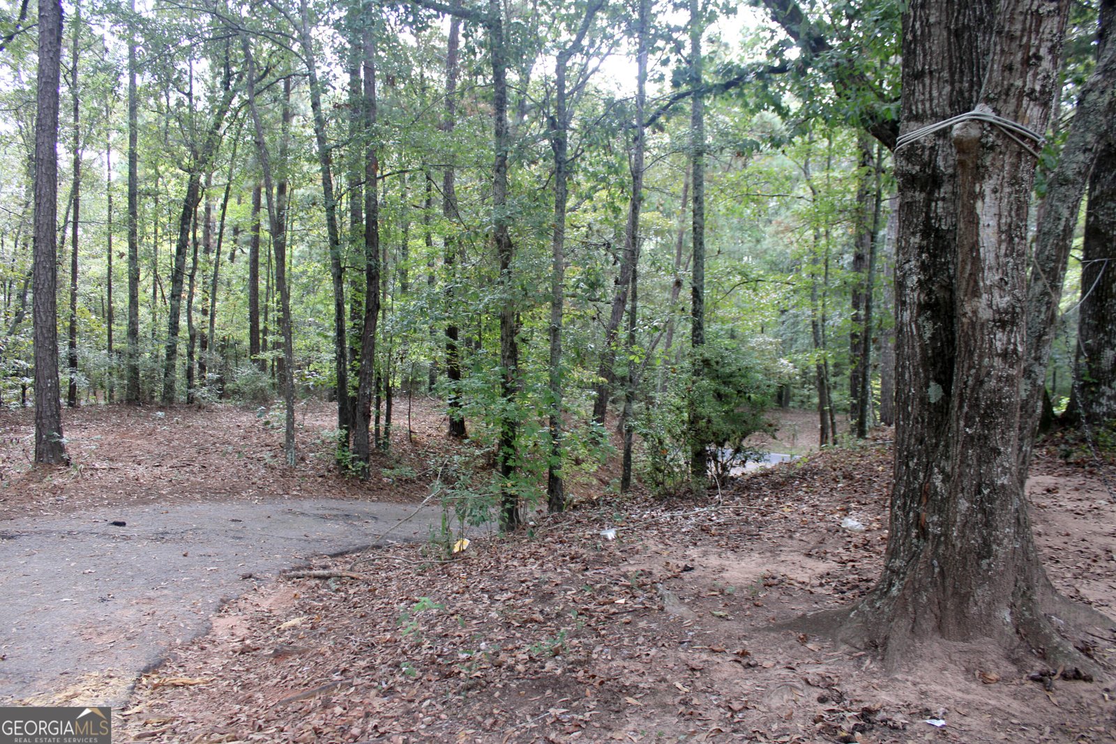 311 Tomme Road Lagrange - 3