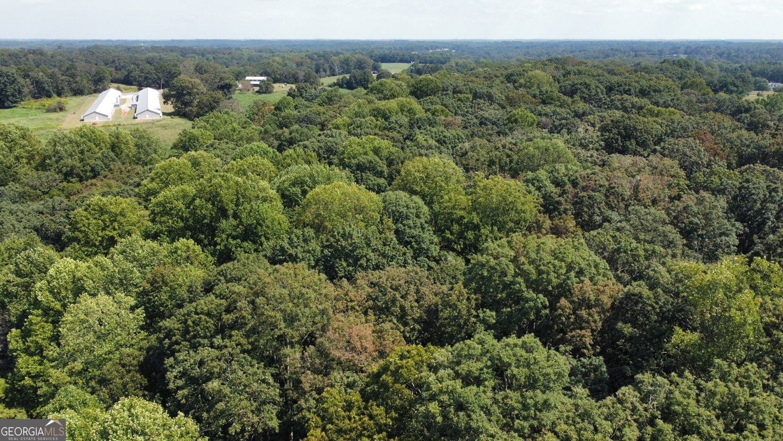 1057 Pleasant Hill Circle Martin - 10