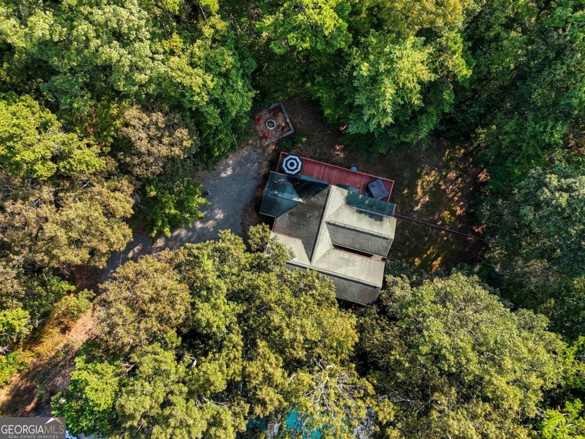 188 Foxhound Drive Ellijay - 45