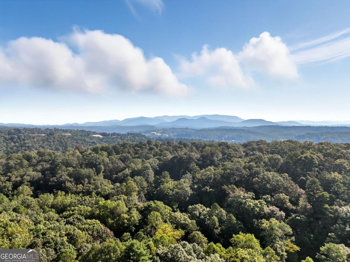 188 Foxhound Drive Ellijay - 47