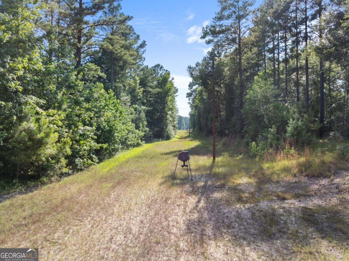 13320 Sunbury Road Claxton - 12