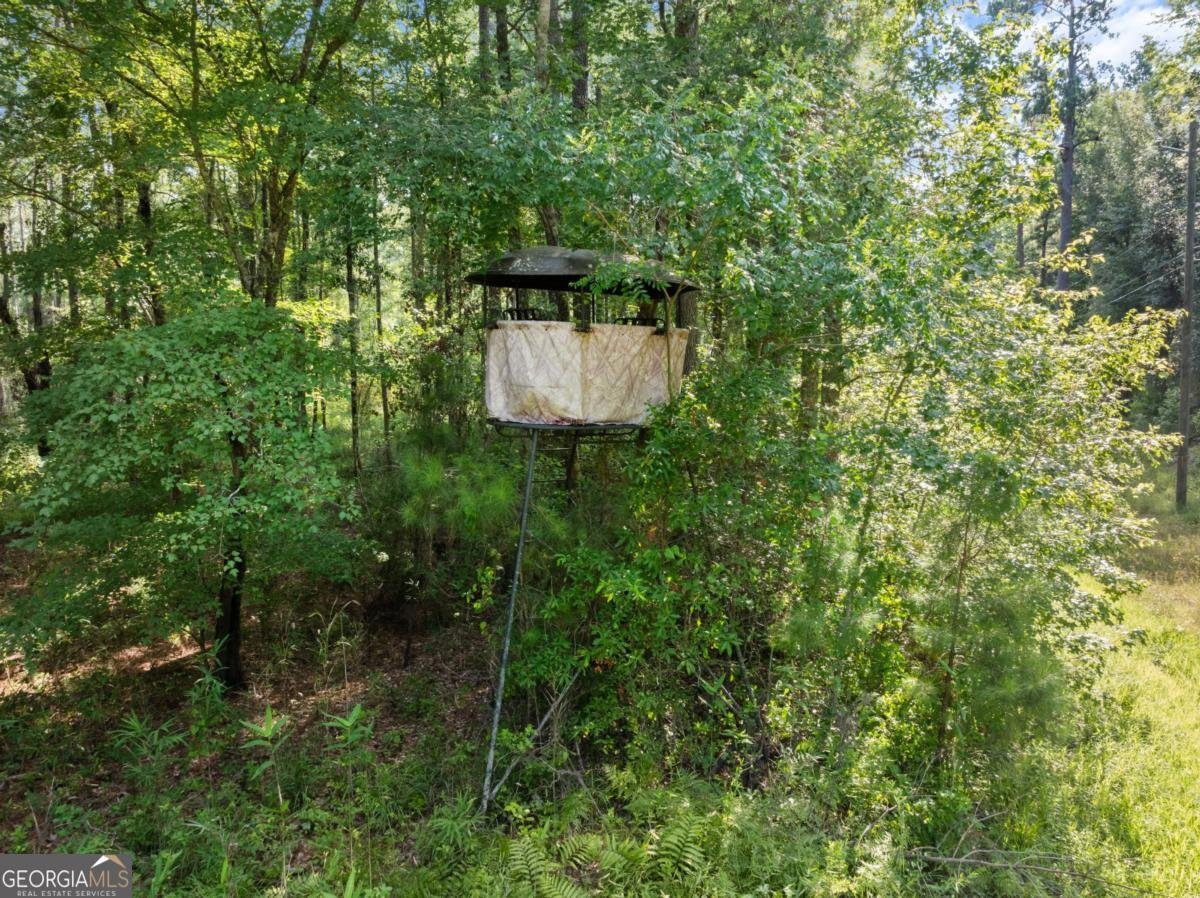 13320 Sunbury Road Claxton - 13