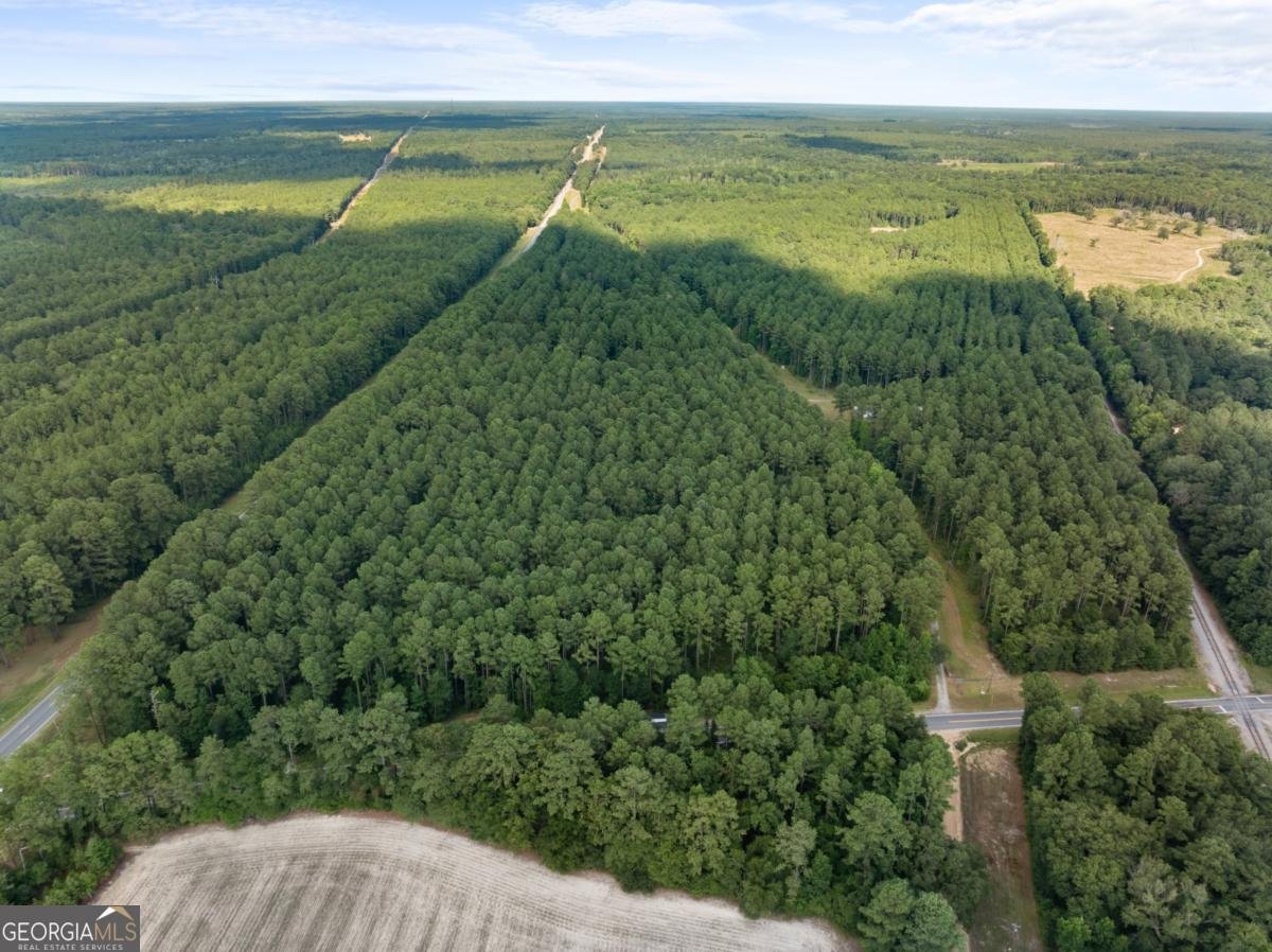 13320 Sunbury Road Claxton - 3