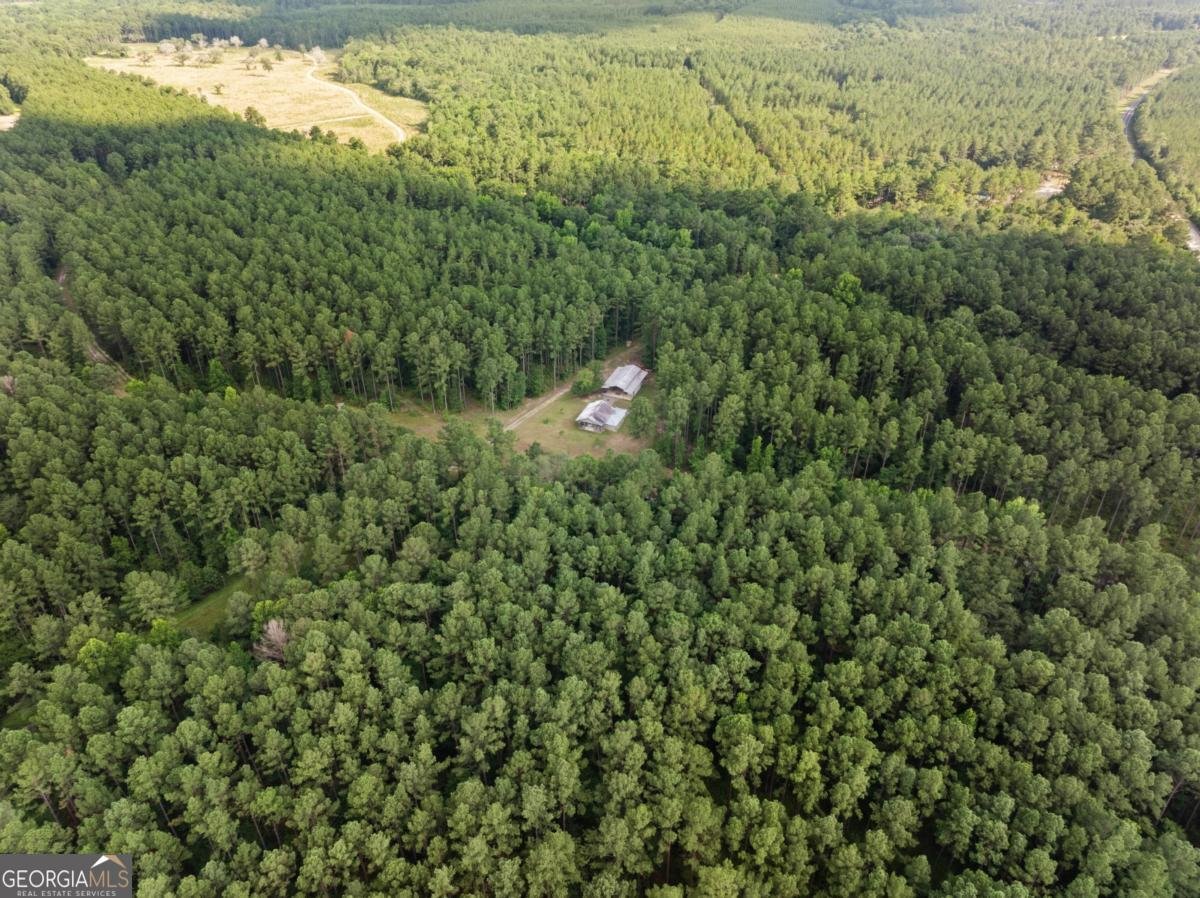 13320 Sunbury Road Claxton - 5