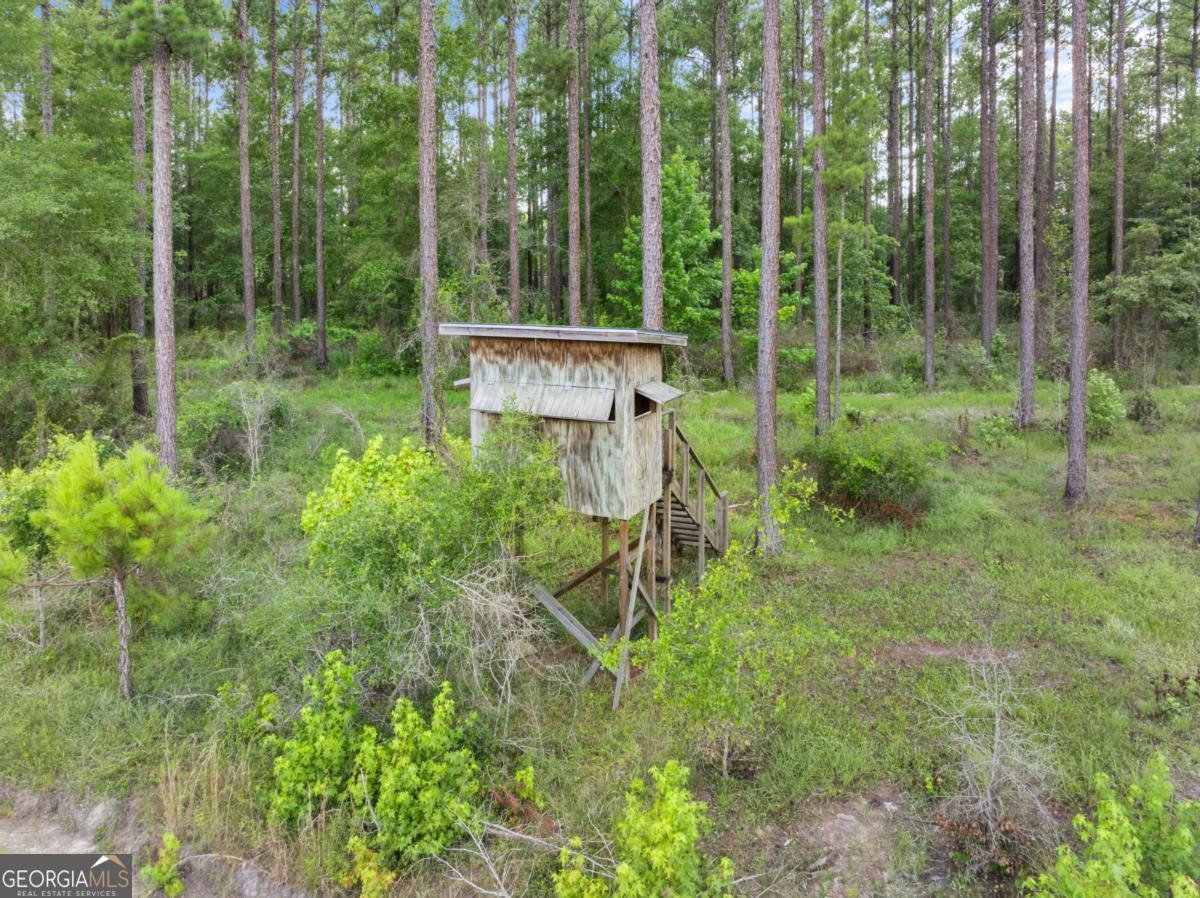 13320 Sunbury Road Claxton - 8