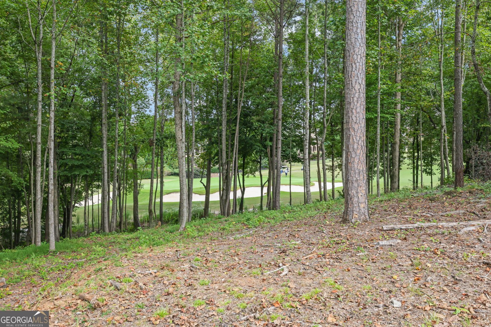 1013 Summit View Lane Alpharetta - 35