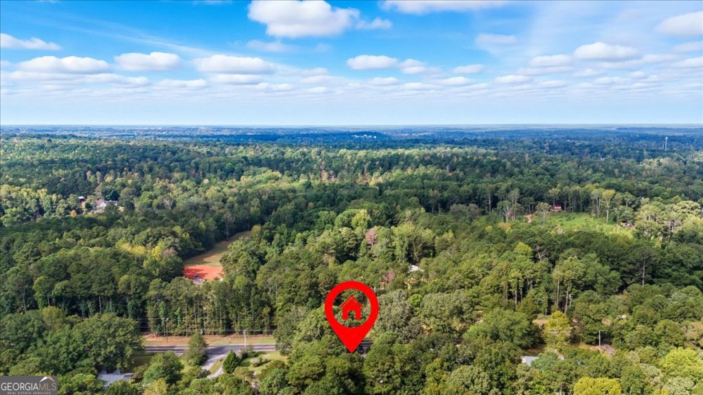 424 Pine Hill Road Griffin - 43