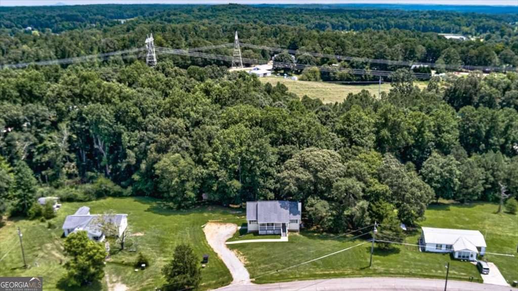 235 Henry Ray Road Villa Rica - 49