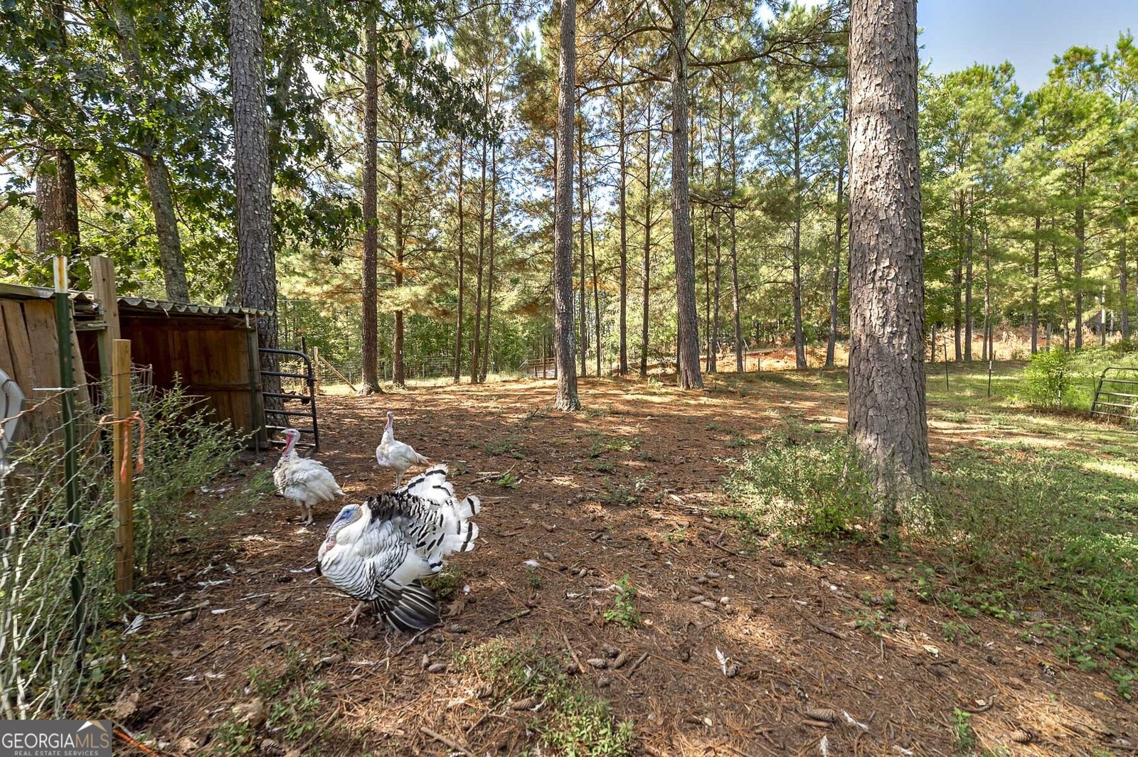 447 Grandview Road Mansfield - 23