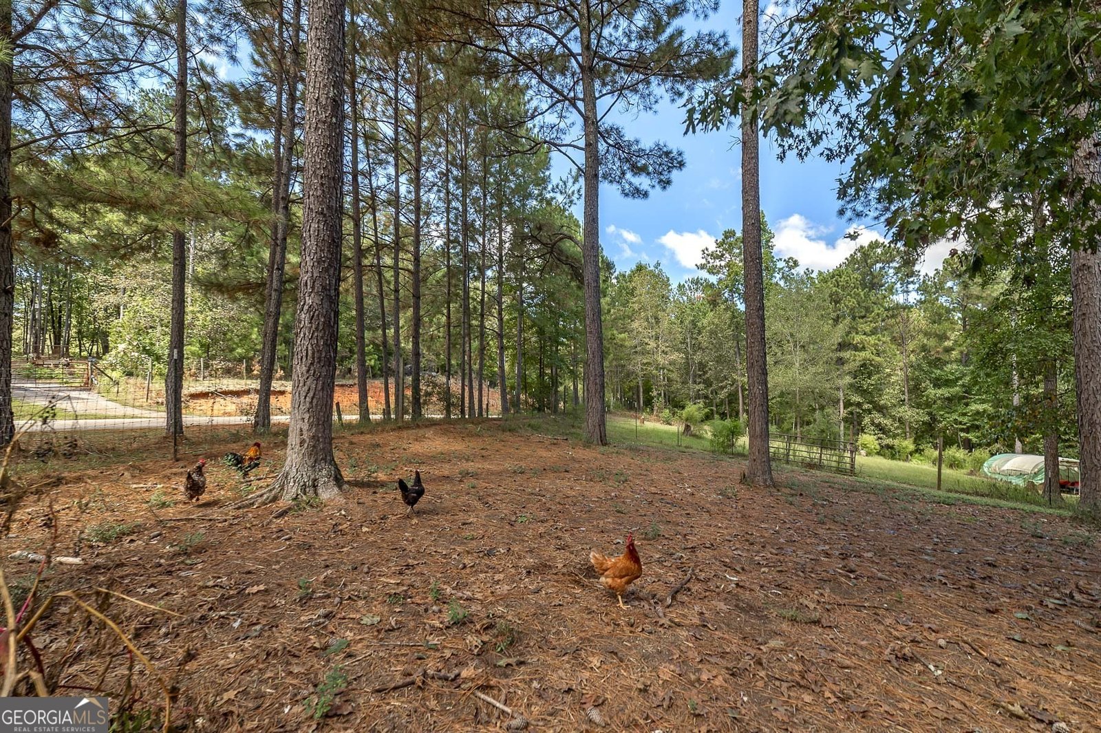 447 Grandview Road Mansfield - 30