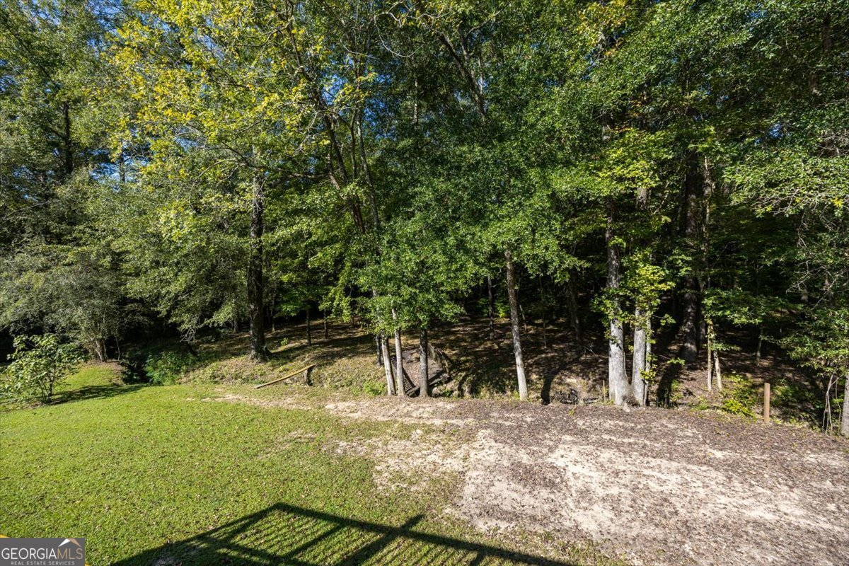 132 Pineworth Pointe Drive Macon - 22