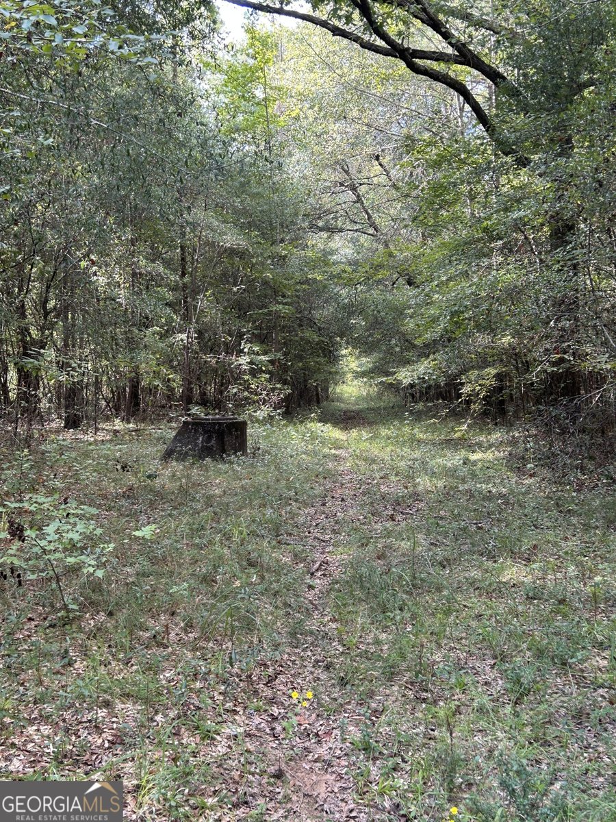 132 Pineworth Pointe Drive Macon - 24