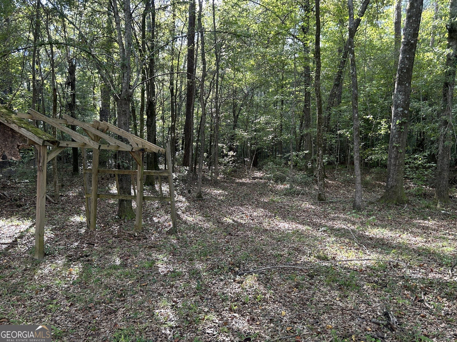 132 Pineworth Pointe Drive Macon - 25