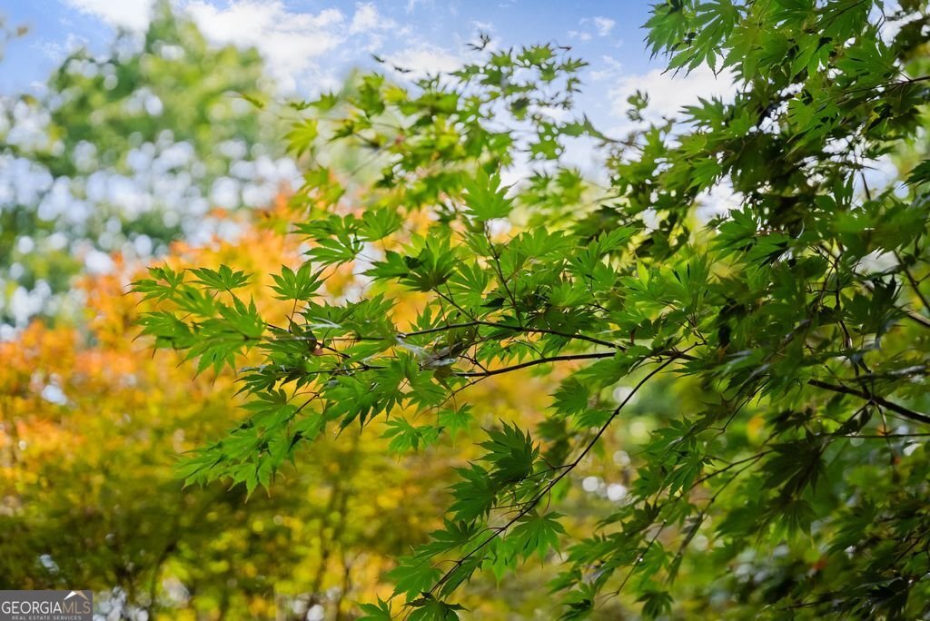 994 Whispering Pine Lane Cherry Log - 65