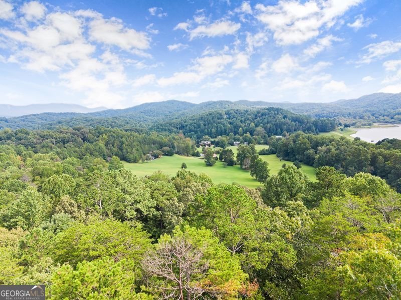 994 Whispering Pine Lane Cherry Log - 78