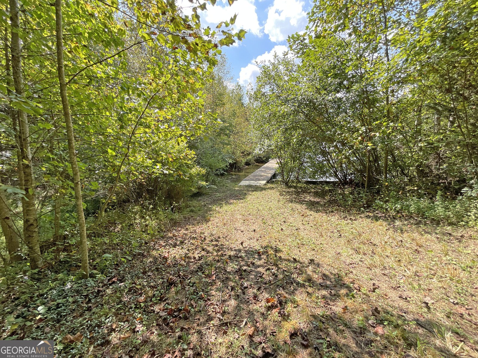 1242 Moccasin Creek Road Clarkesville - 20