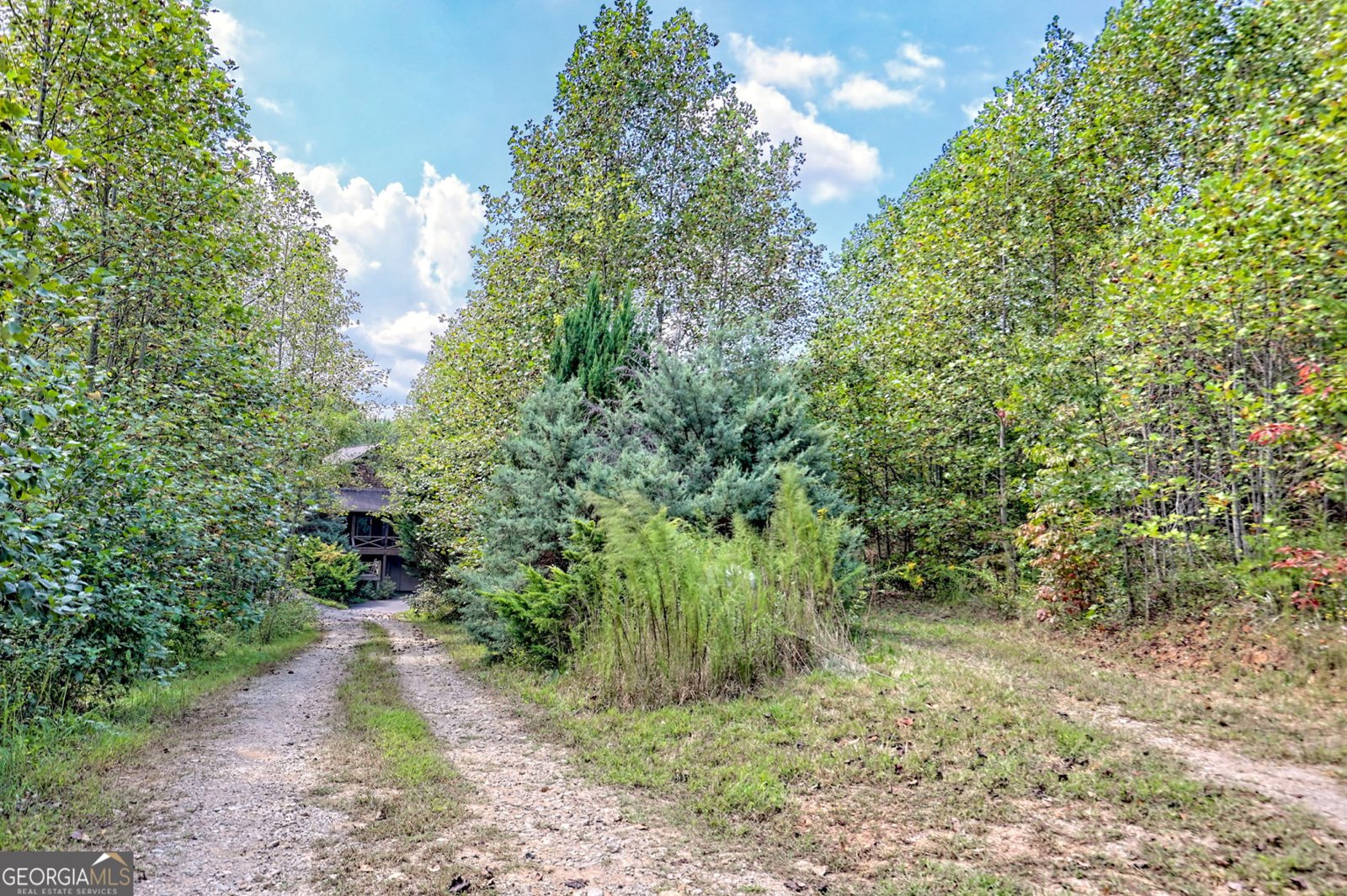 1242 Moccasin Creek Road Clarkesville - 22