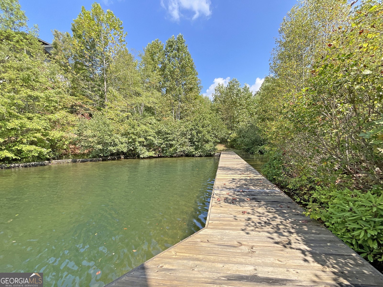 1242 Moccasin Creek Road Clarkesville - 28