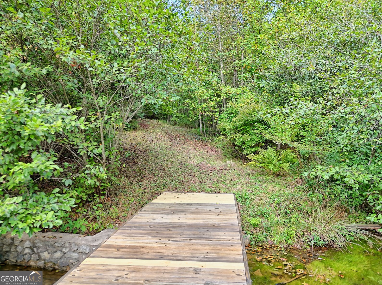 1242 Moccasin Creek Road Clarkesville - 29