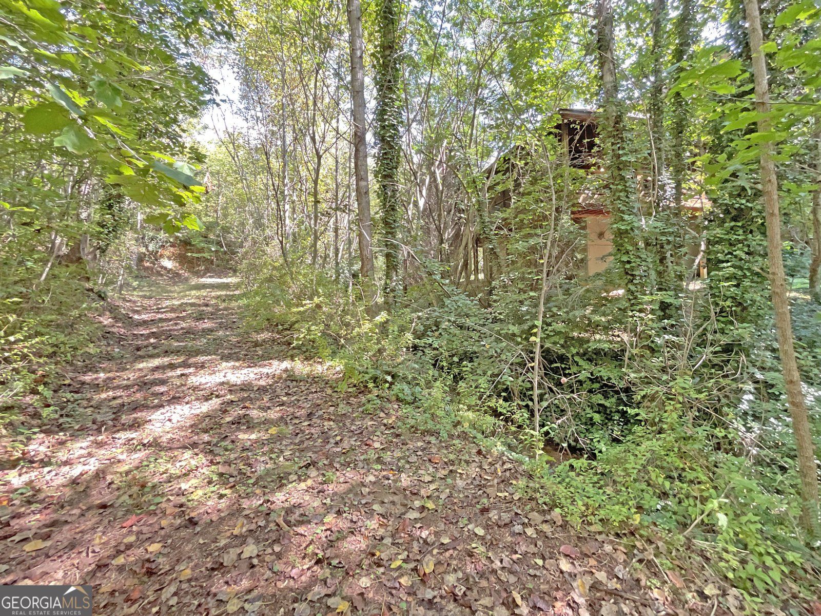 1242 Moccasin Creek Road Clarkesville - 31